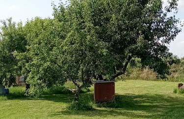 Hof Baethcke - Foto 4