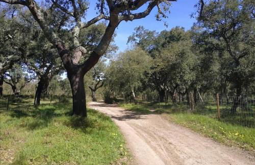 4 suites, piscine, Casa Rio-Dora by SesimbraSunSea - Foto 62