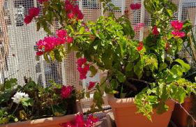 Apartamento Mediterraneo - Photo 37