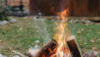 Finnwood - A Pet Friendly Woodland Retreat - Foto 2