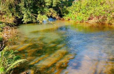 Sitio Casa na Árvore - Photo 34