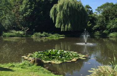 Everglades - Foto 59