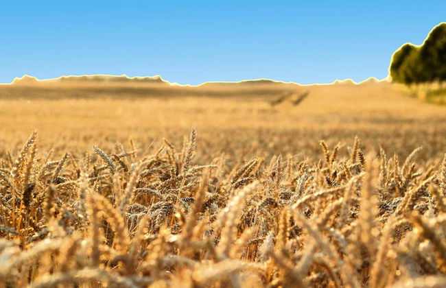 Semi-detached Houses Hyggelig, Seehausen - Foto 63