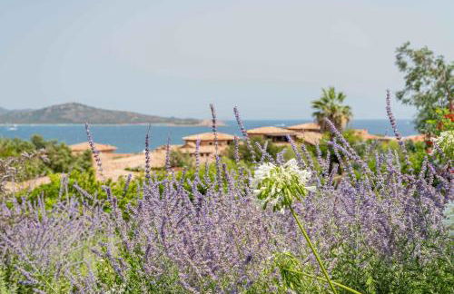 Villa Puntaldia - Photo 33