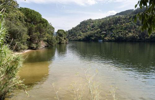 Quinta da Ribeirinha - Douro River - Foto 61