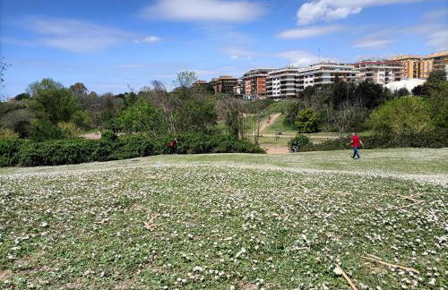 Casa mia Metro A 100mt - Foto 77