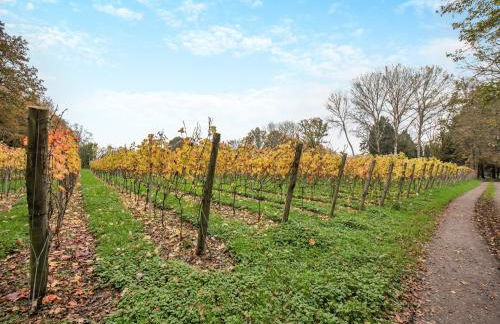 Mousehall Oast - Foto 24