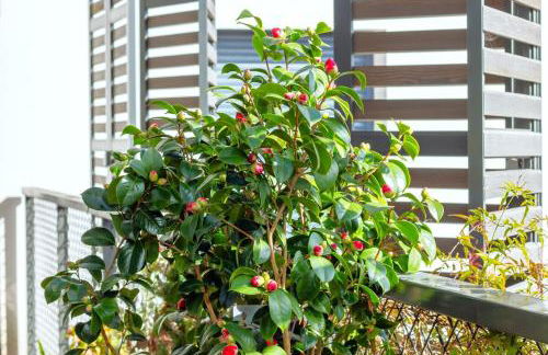 Beautiful 2 bedroom in Palaiseau Ideal for professionals - Foto 47