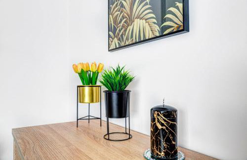 Krynica Apartamenty Apartament Studio Cicha 12 Parking - Foto 11