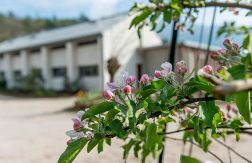 Agritur La Dolce Mela - Adults Only - Foto 53