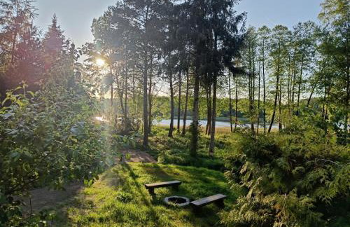 Sosnowy Azyl - Foto 74