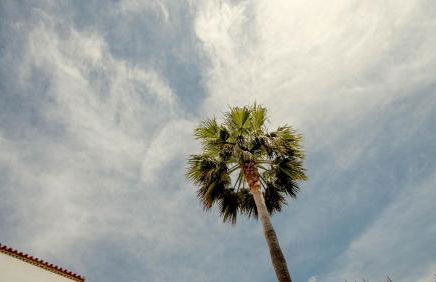 Apartamentos Turísticos La Carrajolilla - Foto 52