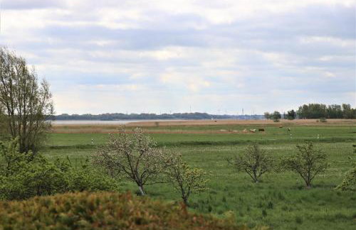 Ferienhäuser Strandhaus Leo - Foto 9