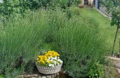 Ferienwohnung Supp - Foto 16