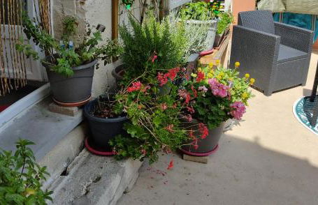 Les Bonbonieres d'Andrea Gavinies Pellegrin - Foto 34