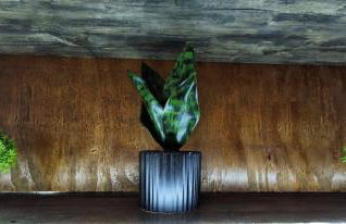 Family Holiday House Petric - Foto 34