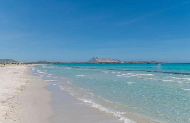 Apartment in Sos Alinos Near Sardinian Beaches - Photo 34