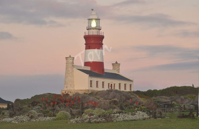 South Point - Foto 74