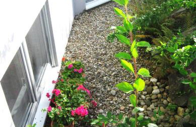 Lissi Apartment nur 5 Min vom Europa Park und direkt am Naturschutzgebiet - Foto 12