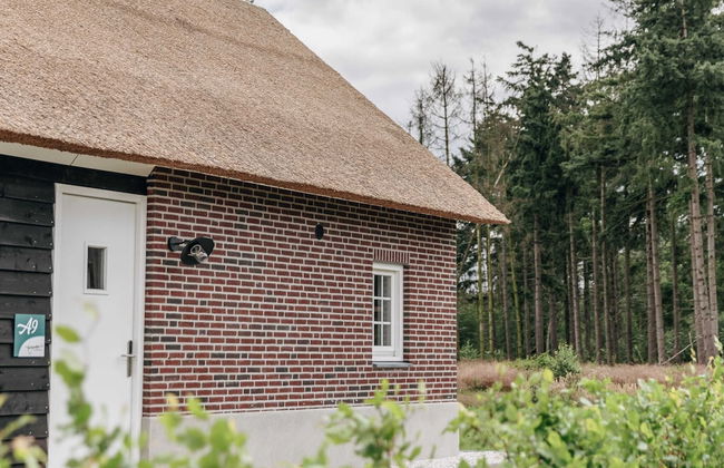 Villa in Someren Near Somerense Heide - Photo 26