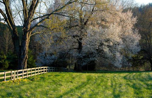 Walnut Run Farm - Foto 26