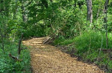 Murphys Law Inn 2 - Foto 16