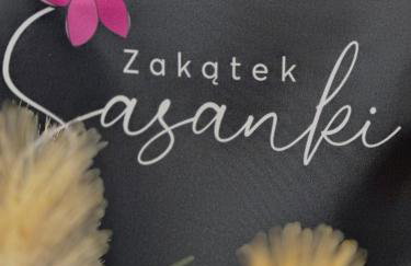 Zakątek Sasanki - Foto 33