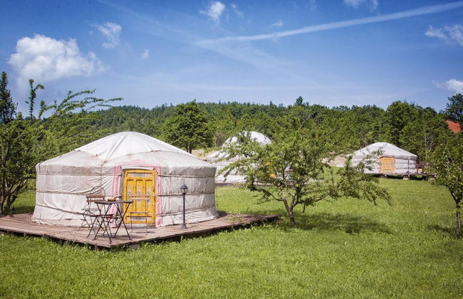 Società Agricola Cacigolara - Foto 32