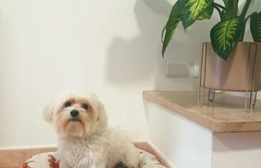 EDEN. La casa di Claudia - Foto 36