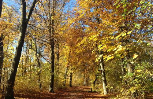 Altstadtloft Straubing - Foto 31