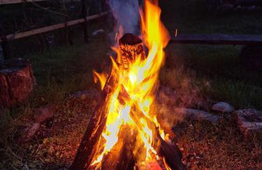 Przystanek Soszyca - Foto 28