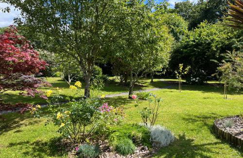 Studio GîTE COSY sur Jardin - Foto 7