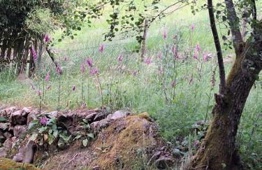 EL VIEJO MOLINO - Foto 23