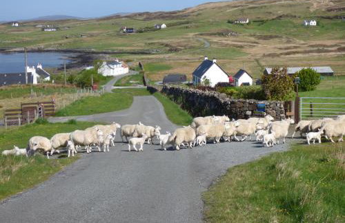 Ornum Self Catering Cottage - Foto 11