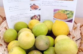 Andi Casa - Sicilia - vista mare - Foto 45