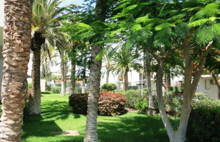 South Tenerife 471 - Foto 8