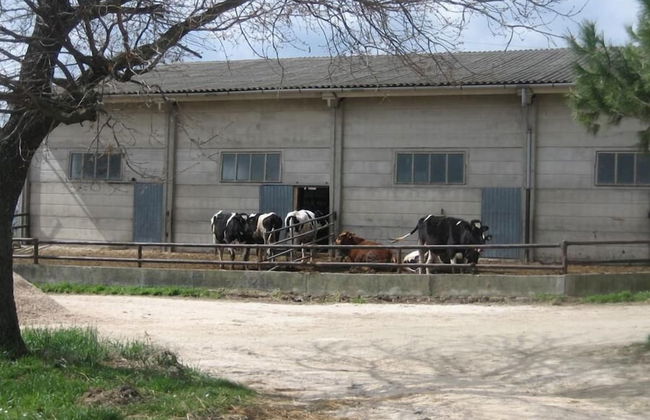 Agriturismo Casa Fibbianello - Foto 21