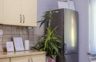 Apartman Milka - Foto 15