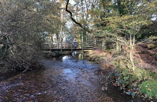 Corner Cottage - character, charm, great location. - Foto 72