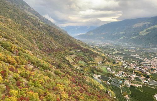 Klostergut - Foto 16