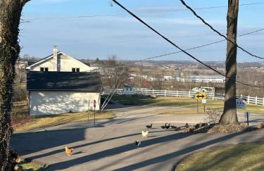The Barn at Sharp Run-Modern Barn in the heart of Amish Country - Photo 17