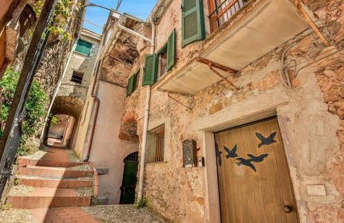 LaCollina Mountain view - Foto 9