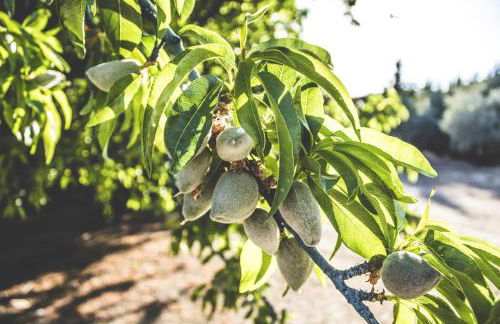 Cosy house in Estepa with mountain view - Photo 23