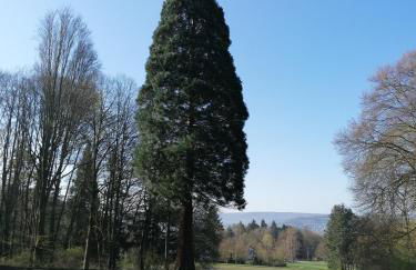 Ferienwohnungen an der Hufeland-Therme - Foto 43