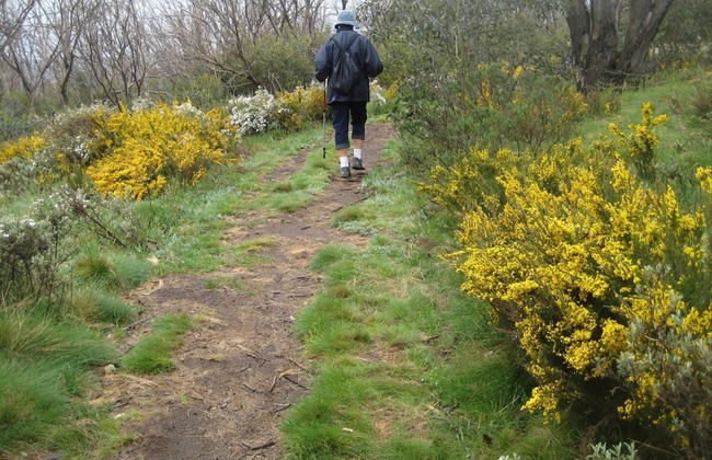 Kosciuszko Tourist Park - Foto 36