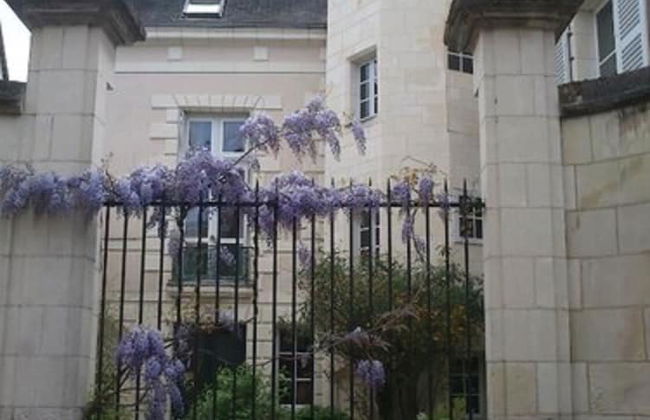 Gite Anne de Beauval - Foto 15