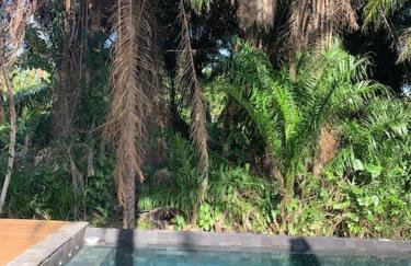 The Black Pool House em Busca Vida - Foto 4