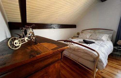 Gîte de la petite Reine - Foto 27