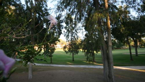 Greenlife Village - Foto 2