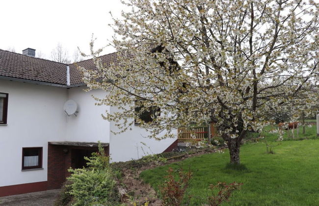 Holiday Home Am Beulskopf - Foto 21